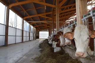 Gaec Gandillet au Miroir : bâtiment tout confort pour les animaux et les éleveurs !