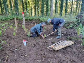 Un simulateur d’aides pour le renouvellement des forêts