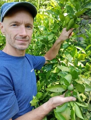 De nouvelles cultures face au changement climatique