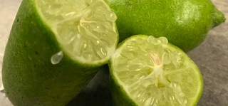 Les microclimats, des écrins hors du réchauffement climatique