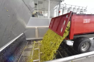 Des marchés agricoles résilients malgré le contexte mondial 