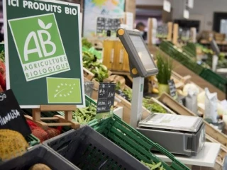 L’avenir de l’agriculture biologique décrypté en quatre scénarios