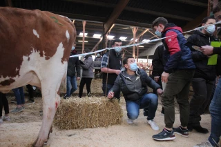 Le Jura fête l’élevage