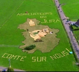 Enfin la remise du 1er prix du concours des fresques