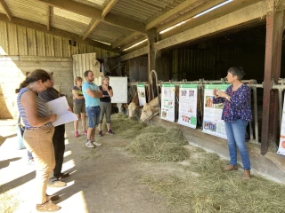 Bien préparer le vêlage