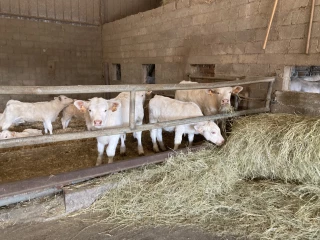 2022, une année riche en actualité syndicale