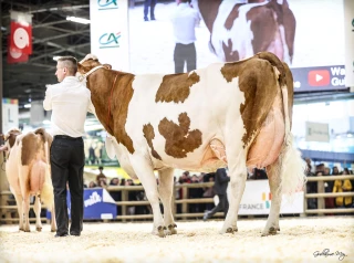 Carton plein pour le Jura !