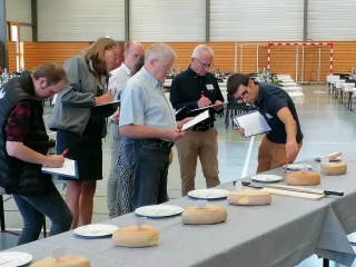 Des Morbiers chaque année meilleurs