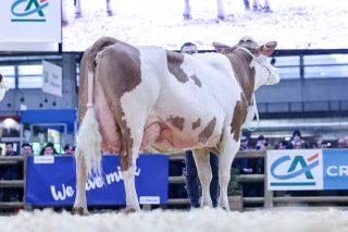 Trois Podiums pour les Jurassiennes