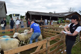 Ambiance coupe du monde à Charolles !