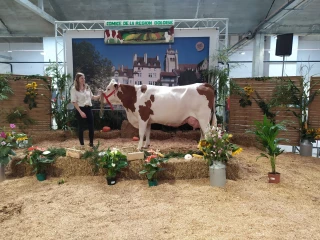 Régate et Onctueuse, les stars du comice