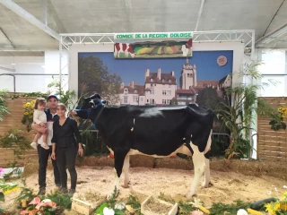 Des Prim'Hostein à Dolexpo