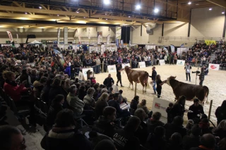 Passion élue Miss Montbéliarde