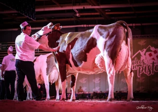Beau palmarès pour les Jurassiennes