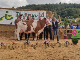 255 animaux pour le comice de la petite Montagne