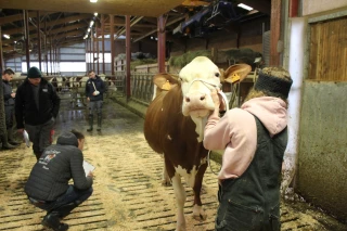 Quelles Montbéliardes jurassiennes iront à Paris ?