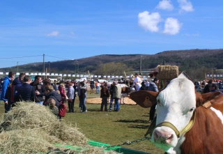 La saison des comices débute