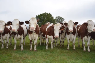 Des couleurs retrouvées !