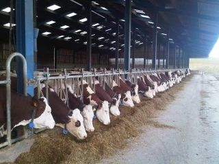 Pas mal d’énergie dans les fourrages