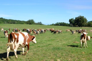 Une année globalement bonne