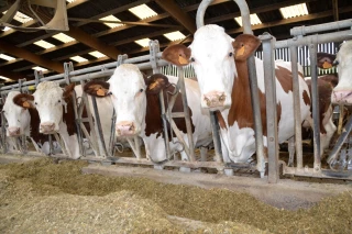 L’alimentation : paramètre essentiel de la fertilité