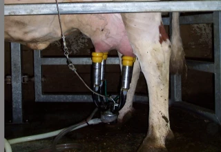 Haro sur les spores butyriques !