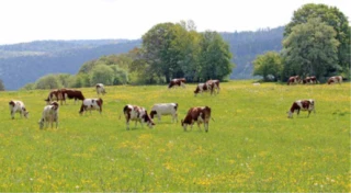 Un nouveau foyer à Chamblay