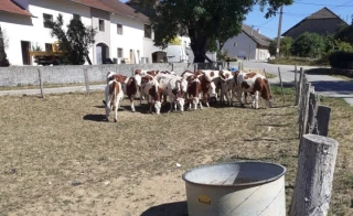 Une sécheresse qui frappe tout le Jura
