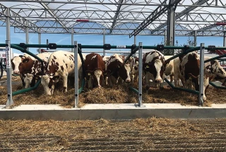 Le retour d’expérience des Pays-Bas