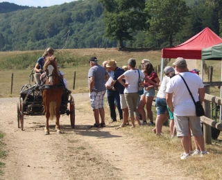 Pont d’Héry : 20 participants au concours régional d’attelage