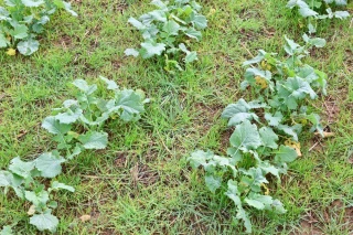 Adopter la bonne stratégie