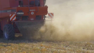 Les bons réflexes à la récolte