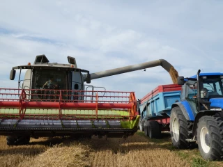 Catastrophiques, ou presque…