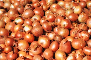 Capitaliser sur les expériences passées pour construire l’avenir