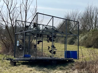 Sans déclaration, pas de solution