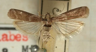 Une course d’endurance avec des sprints