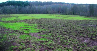 « Nous visons 30 % de cultures détruites en moins »