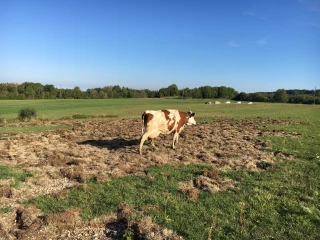 Des chiffres plutôt encourageants