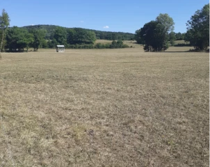 Ouverture du service de télédéclaration