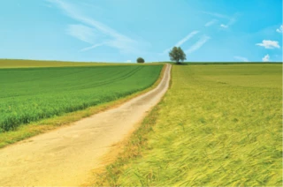 Jean-Pierre Gros : « Une assurance prairie indispensable pour les jeunes agriculteurs »