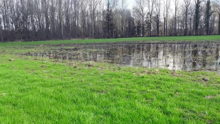 Remettre les prairies en état