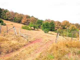 Alerte sécheresse renforcée sur les Plateaux