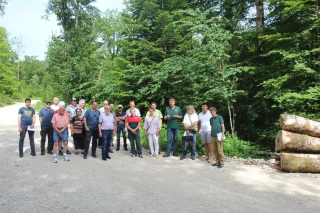 Des ASA pour sortir du bois