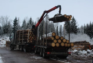 Panorama économique de la filière bois BFC