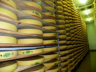 Règles de régulation de l’offre 2021 – 2024 : préparer l’avenir du Comté