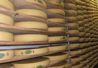 Comté : les droits à produire en baisse de 4%
