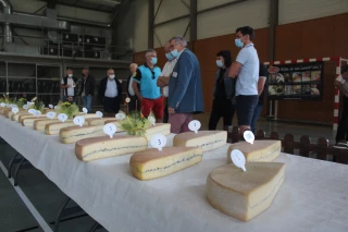 Le meilleur Morbier 2021 est …