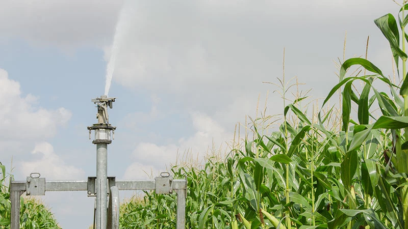 Irrigation : les raisons de la colère
