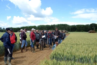 Leviers variétaux et agronomiques