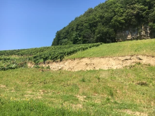 Il va manquer de vin dans le Jura